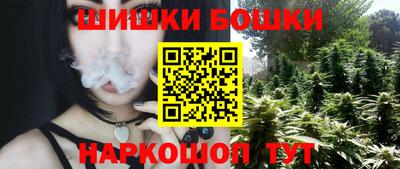 амф Новозыбков