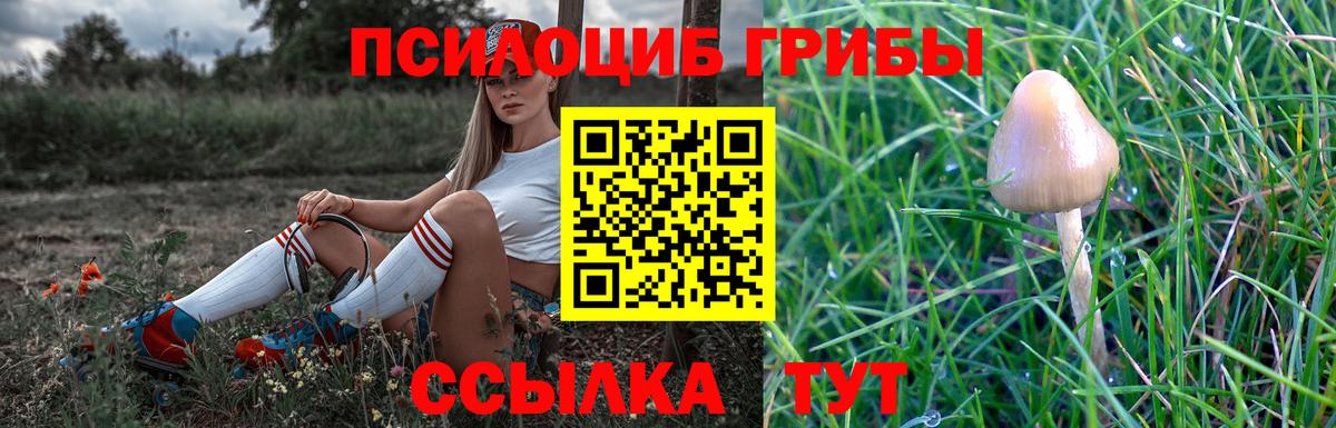 Ступино  Галлюциногенные грибы прущие грибы  Вход с VPN 